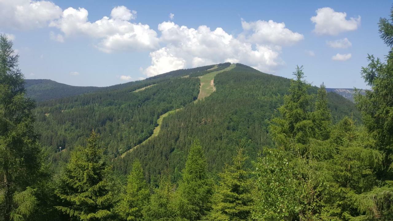 Apartman Medvedin 306 Špindlerŭv Mlýn Exterior foto